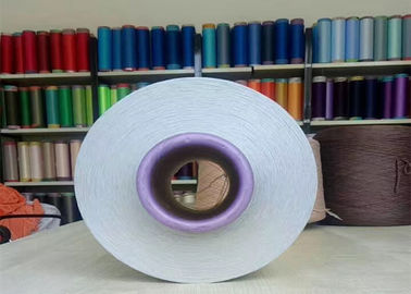 China Garn Microfiber-Polyester-DTY 150D/288F Sd NIM für Baumwollsamt-Material fournisseur